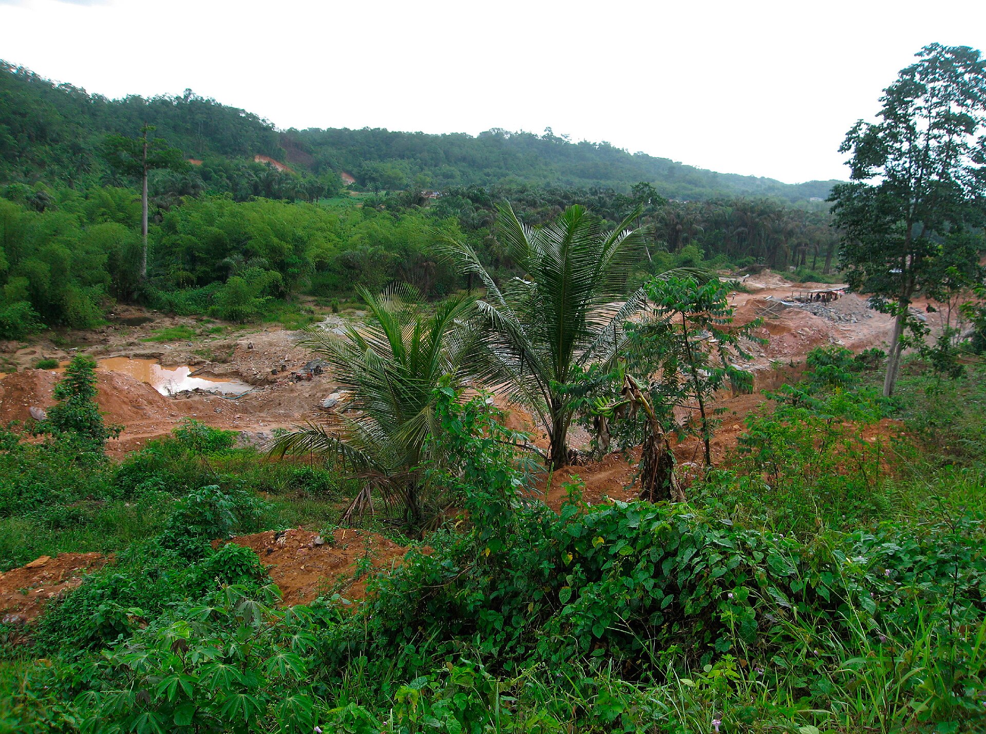 Un sol nu, retourné, sur un site d’orpaillage artisanal.